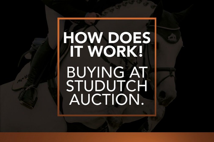 Buying at StuDutch Auction, how does it work?