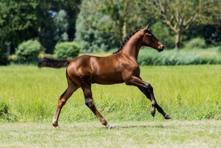 What a pretty lady AvO