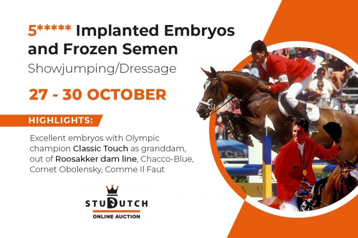 Olympic-class embryos in newest auction