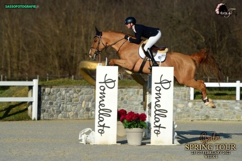 Comodinus v. Comme Il Faut 