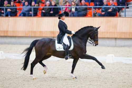 Asther de Jeu