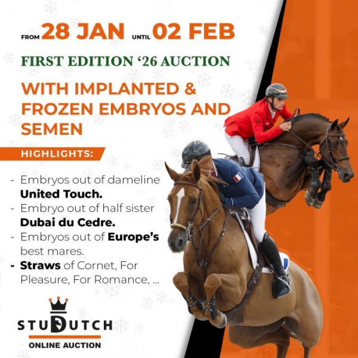 New Auction is live
