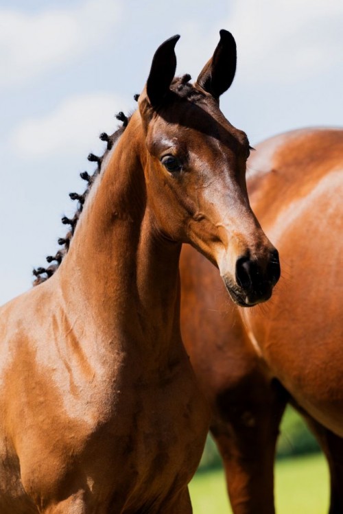 What a pretty lady AvO