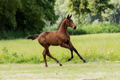 What a pretty lady AvO