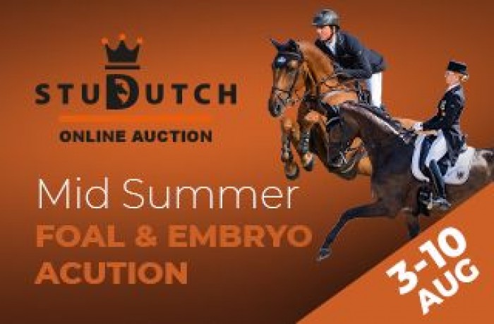 OUR MID SUMMER AUCTION COLLECTION IS ONLINE