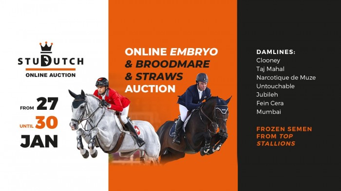 Collection online Embryo, Breeding Mares and Straw Auction