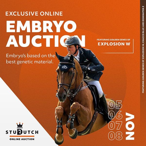 Implanted embryo auction