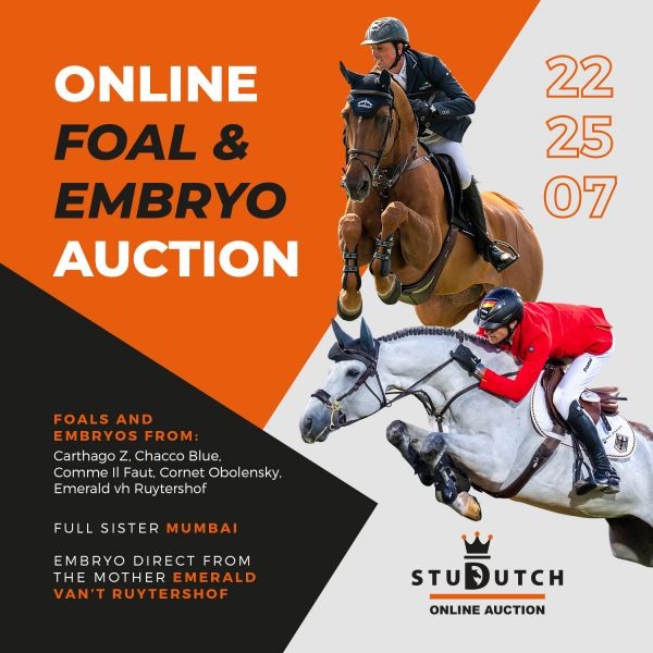 Online foal & embryo auction